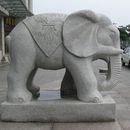 大象-02 